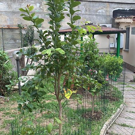 B&B Civitavecchia La Casetta Con Giardino 外观 照片