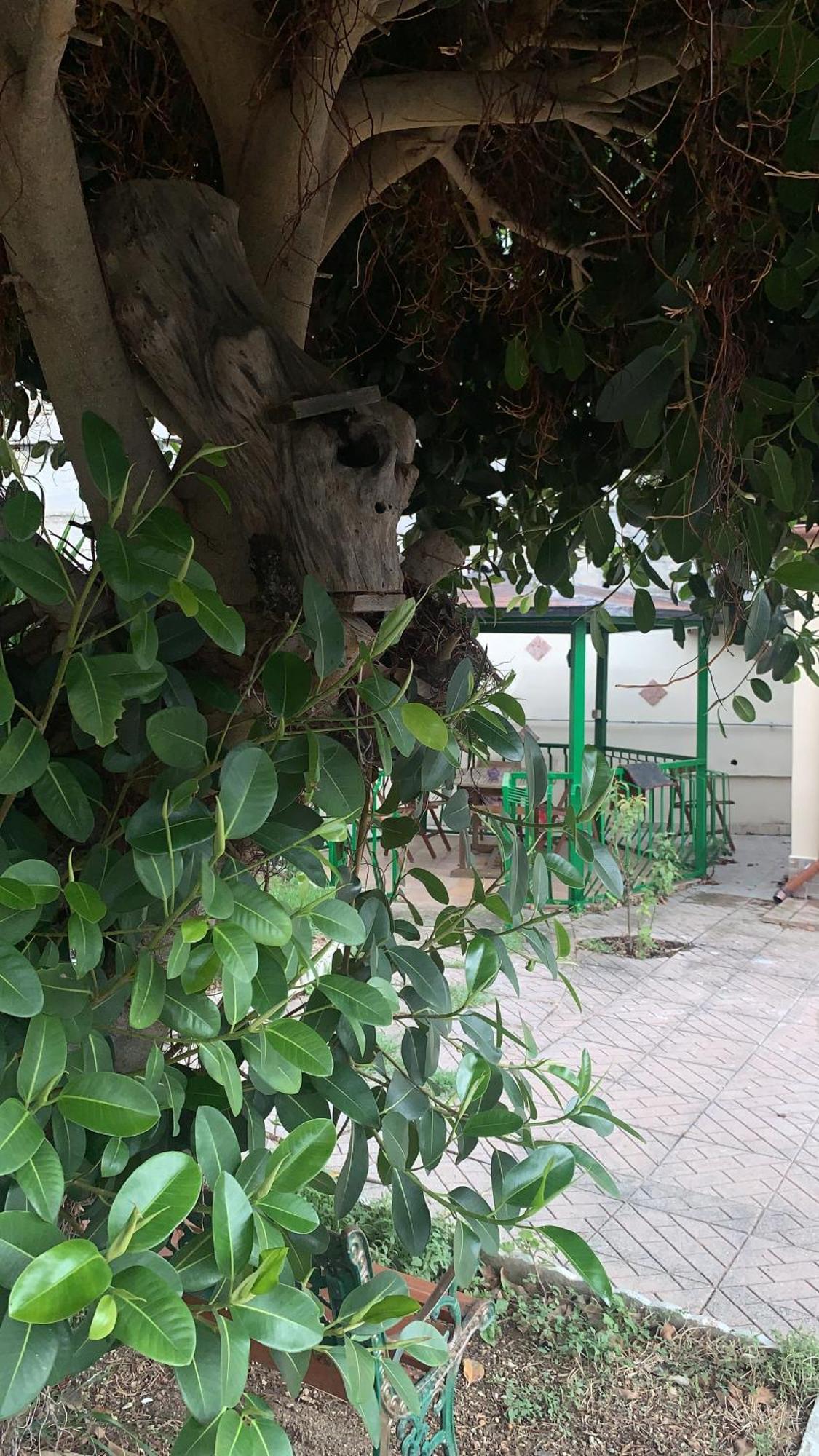 B&B Civitavecchia La Casetta Con Giardino 外观 照片