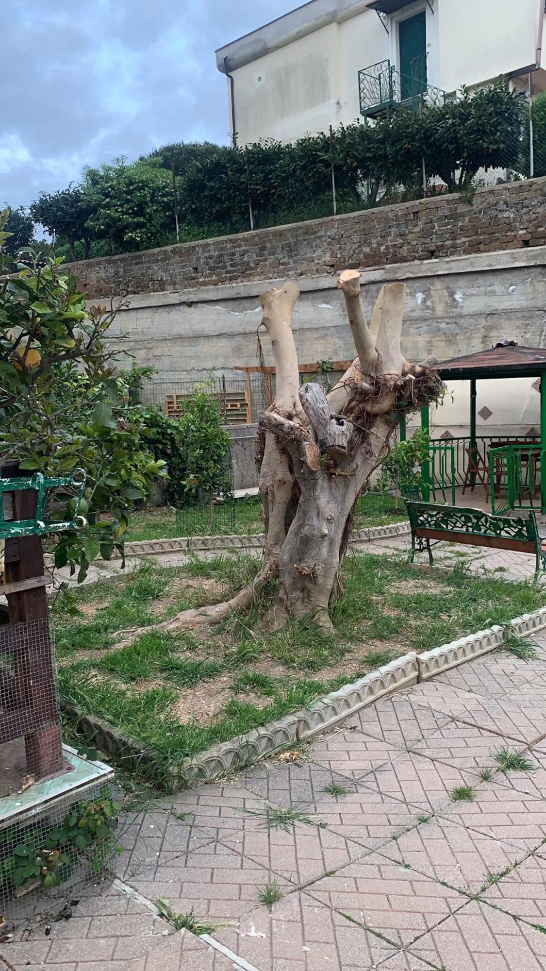 B&B Civitavecchia La Casetta Con Giardino 外观 照片